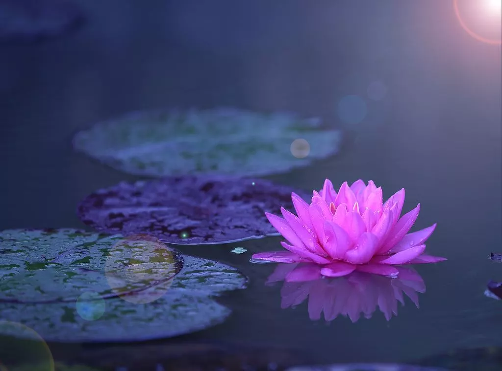 沙扬娜拉   徐志摩