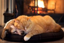 当初我们俩分离  拜伦-微诗刊