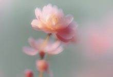 工业时代的苦恼 于坚-微诗刊